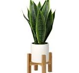 Briful fake snake plant16' faux potted plant