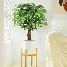 artificial ficus tree 5ft